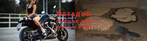 прущие грибы Белокуриха