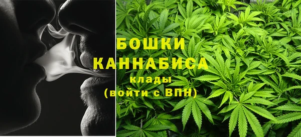 прущие грибы Белокуриха