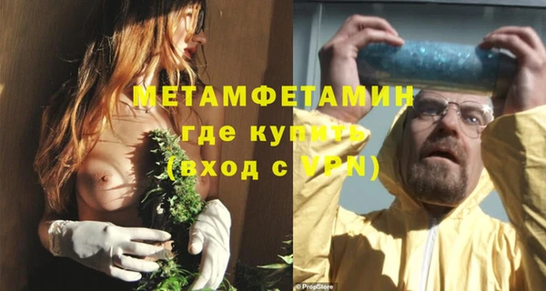 прущие грибы Белокуриха