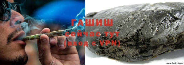 прущие грибы Белокуриха