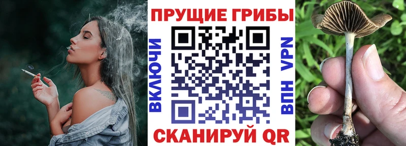 Псилоцибиновые грибы MAGIC MUSHROOMS  Кропоткин 